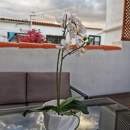 Costa Haven * Costa Del Silencio