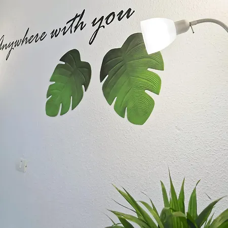 Apartment Costa Haven